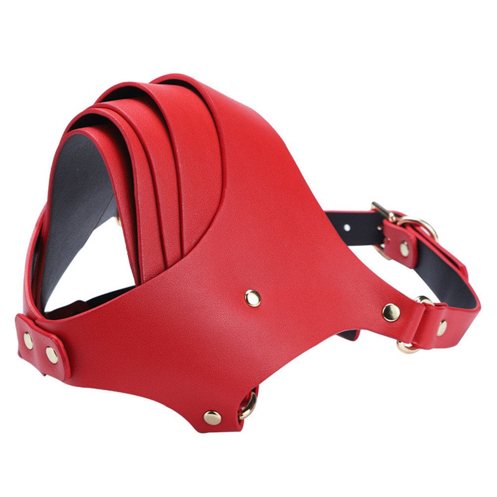 Red Don't Speak Retractable Mask, Bdsm mask, foreplay mask